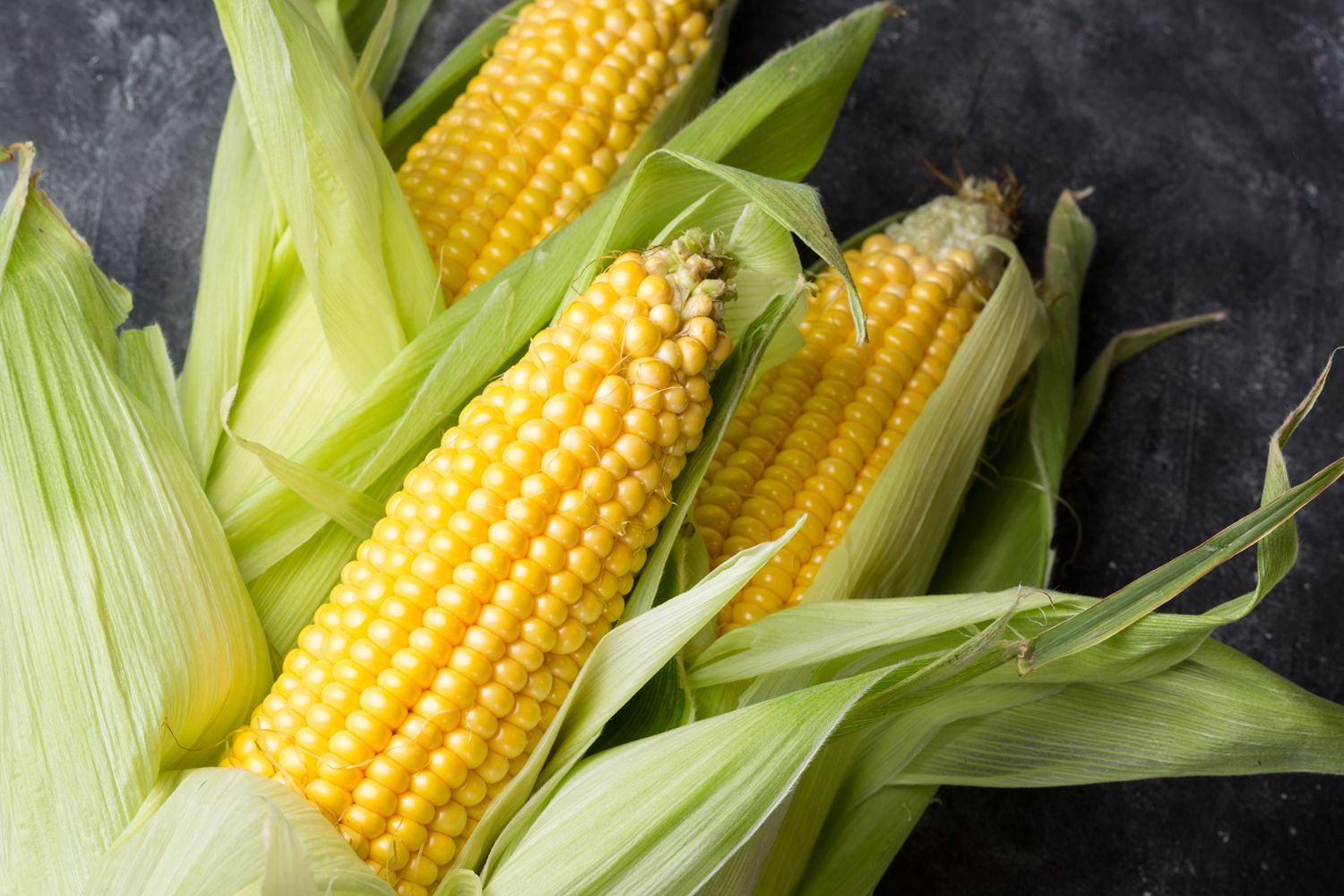 Corn Protein Peptide