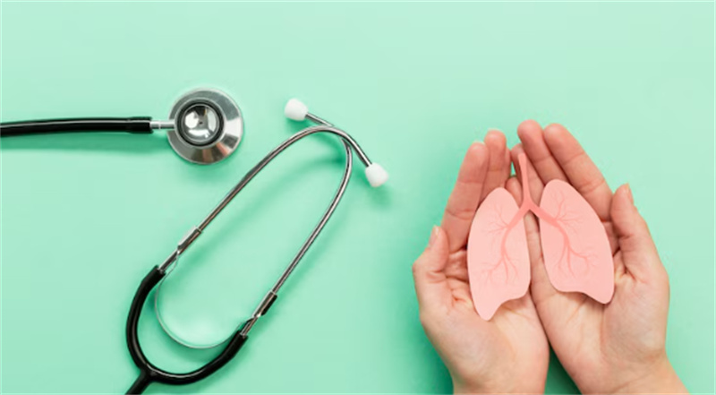 Artichoke Extract benefits