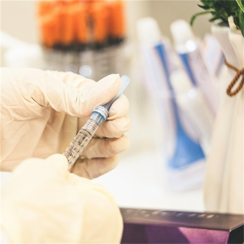 Broad Bean Protein Quality