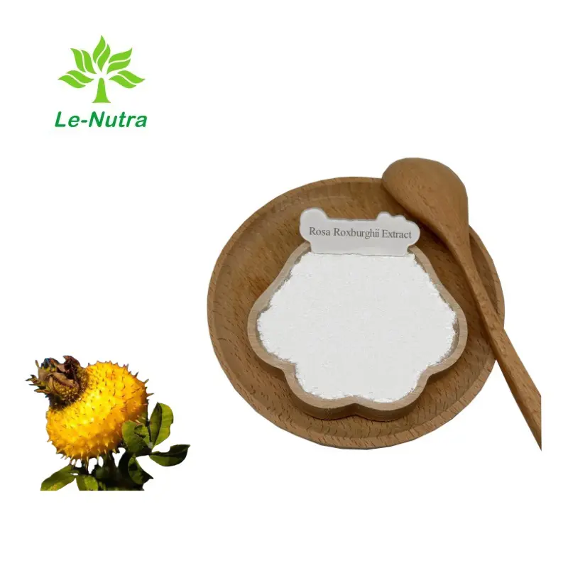 OEM Hot Sell Rosa Roxburghii Extract For Healthcare with Antioxidant Protection Supplier, Exporter