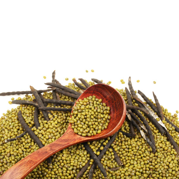 Mung bean peptide powder nutrients