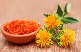 Wholesale Safflower Powder Supplier, Exporters