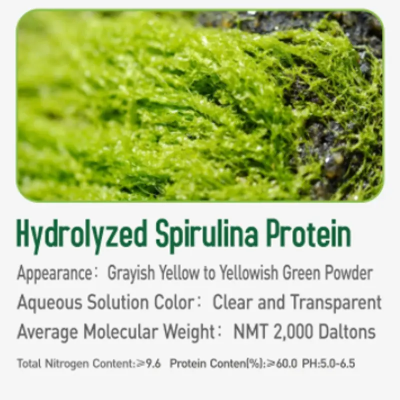 Custom Hydrolyzed Spirulina Protein Powder for Skin Care Factory, Exporter