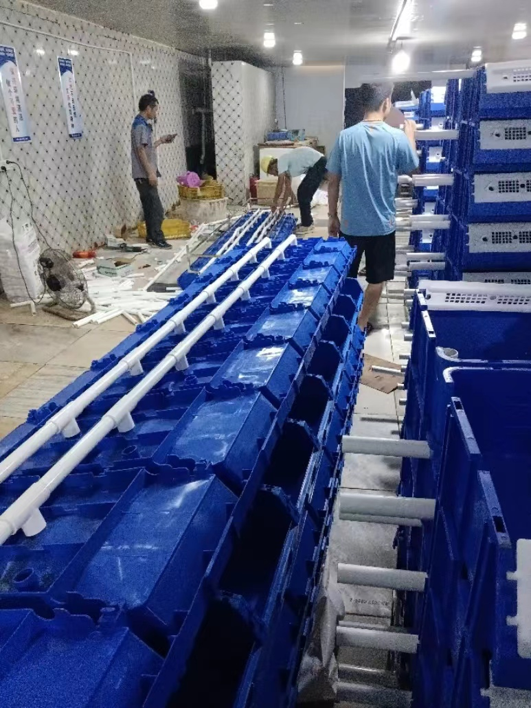 Indoor Vertical Crab Farming Ras Technology