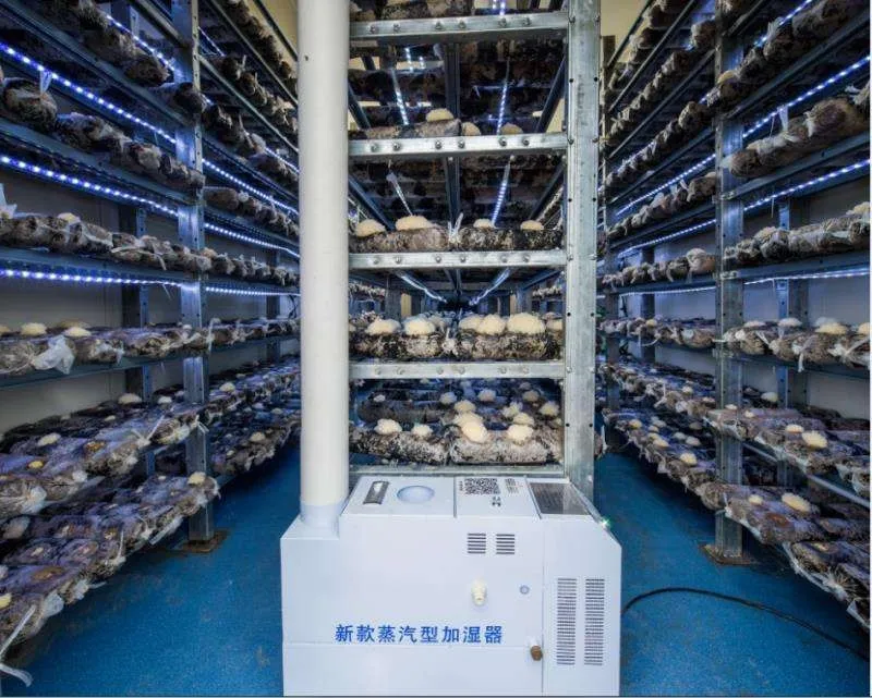 Mobile Mushroom Farm