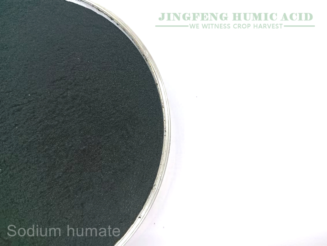 Sodium Humate in Aquaculture Briquette Coal Binder and Feed Additive