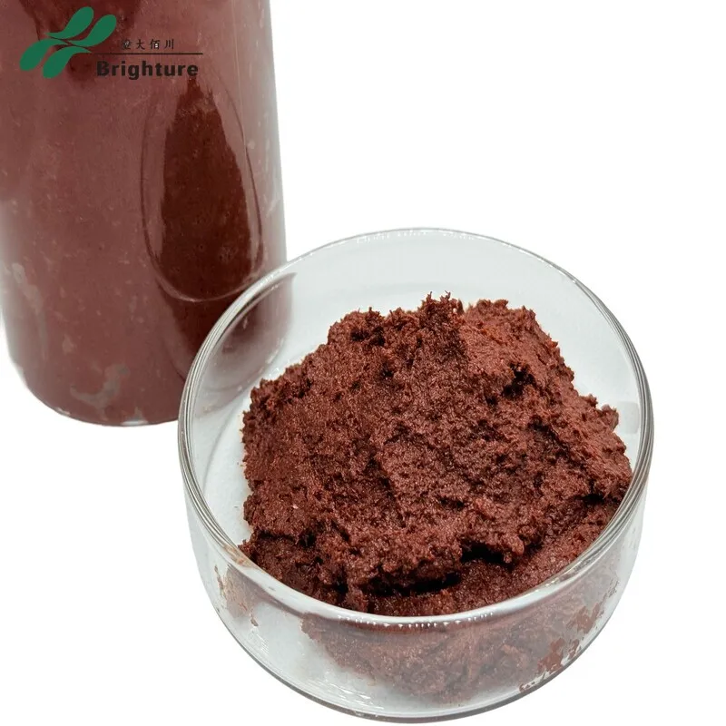 High Quality Shrimp Paste
