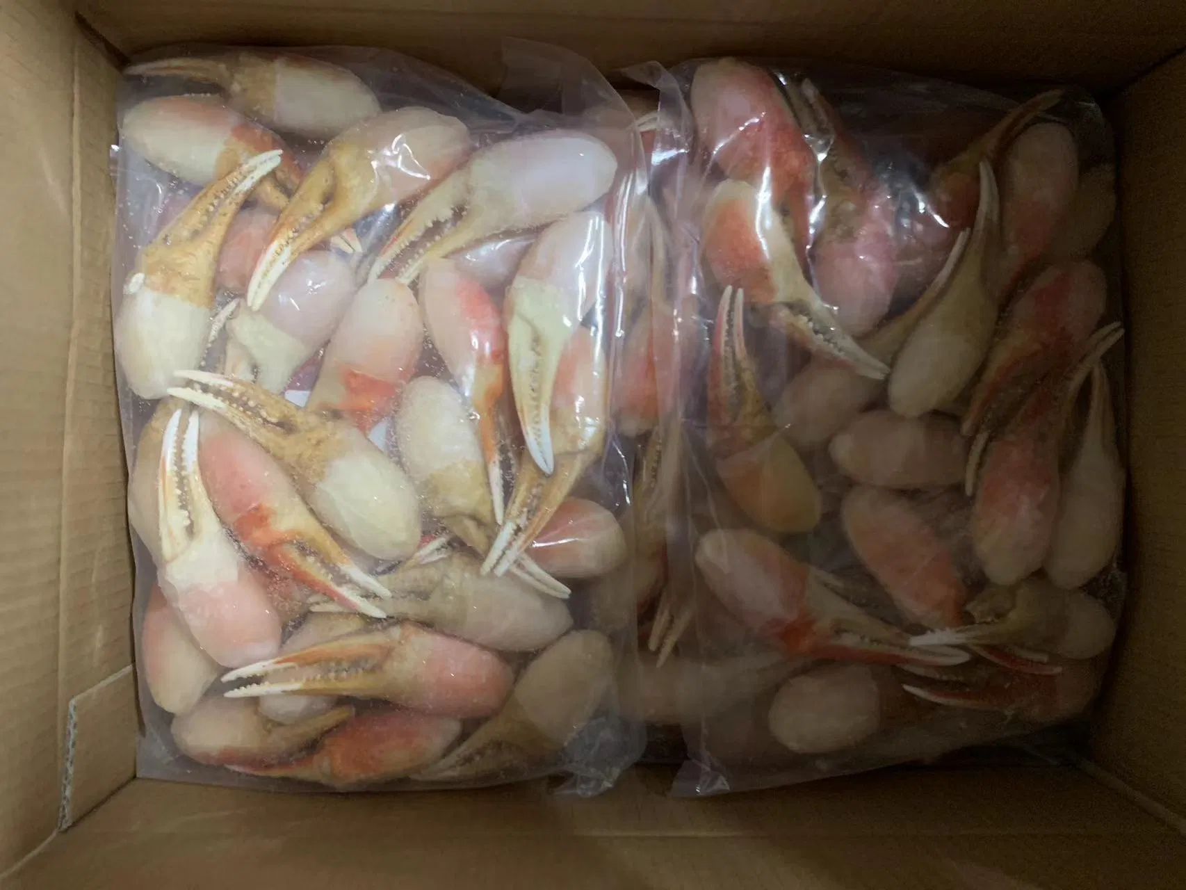 IQF Canadian Snow Crab Claw