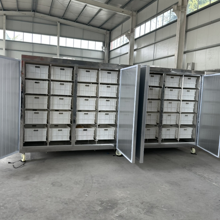 High Yield Fully Automatic Bean Sprout Planting Grower, Universal Yellow and Mung Bean Sprouts