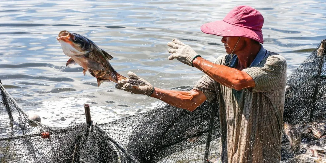 Aquaculture Application