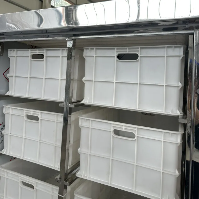 Automatic Vegetable Grower