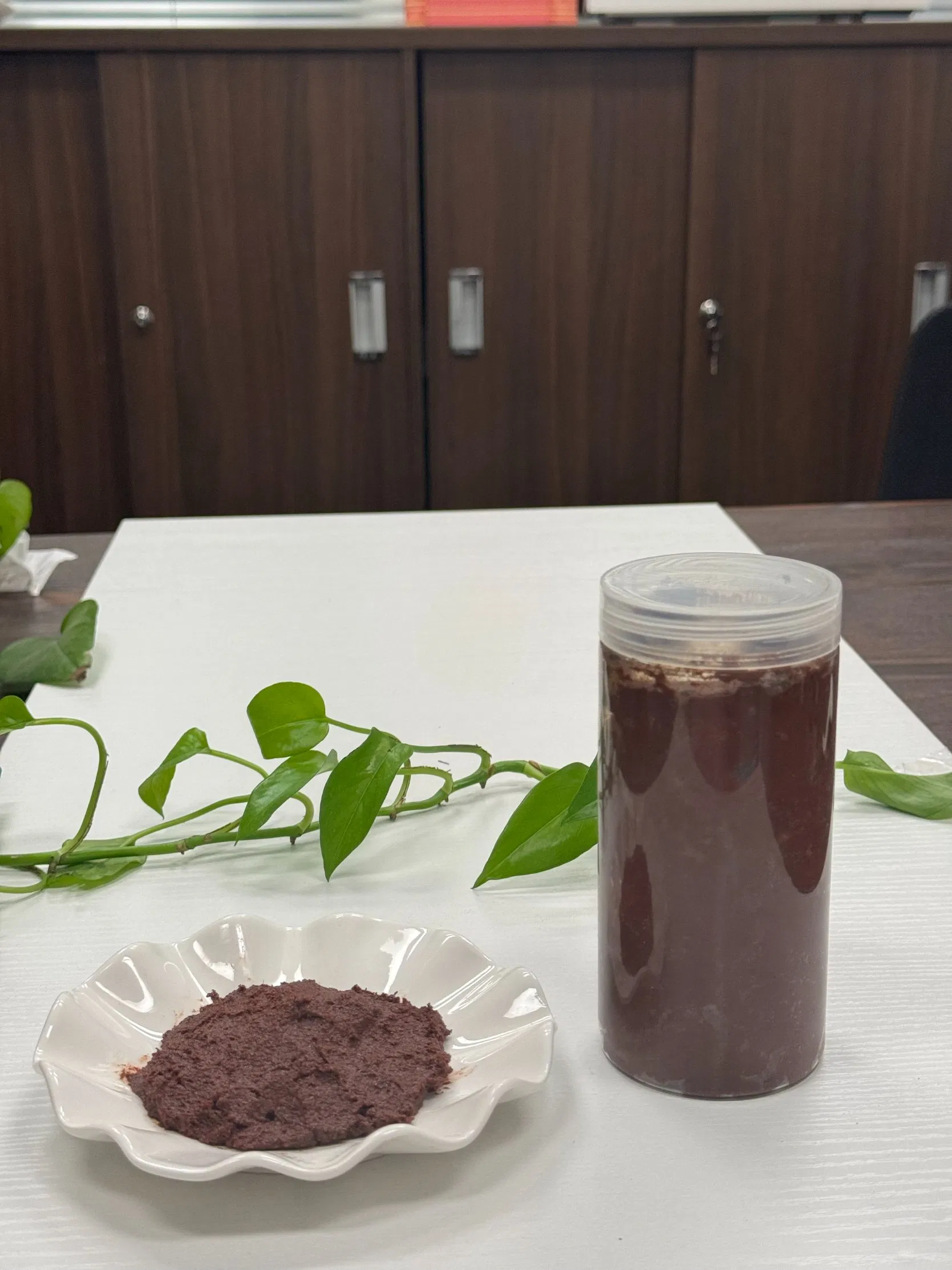 Organic Shrimp Paste for Animal Feed - Chemical-Free Marine Protein for Natural Nutrition Programs