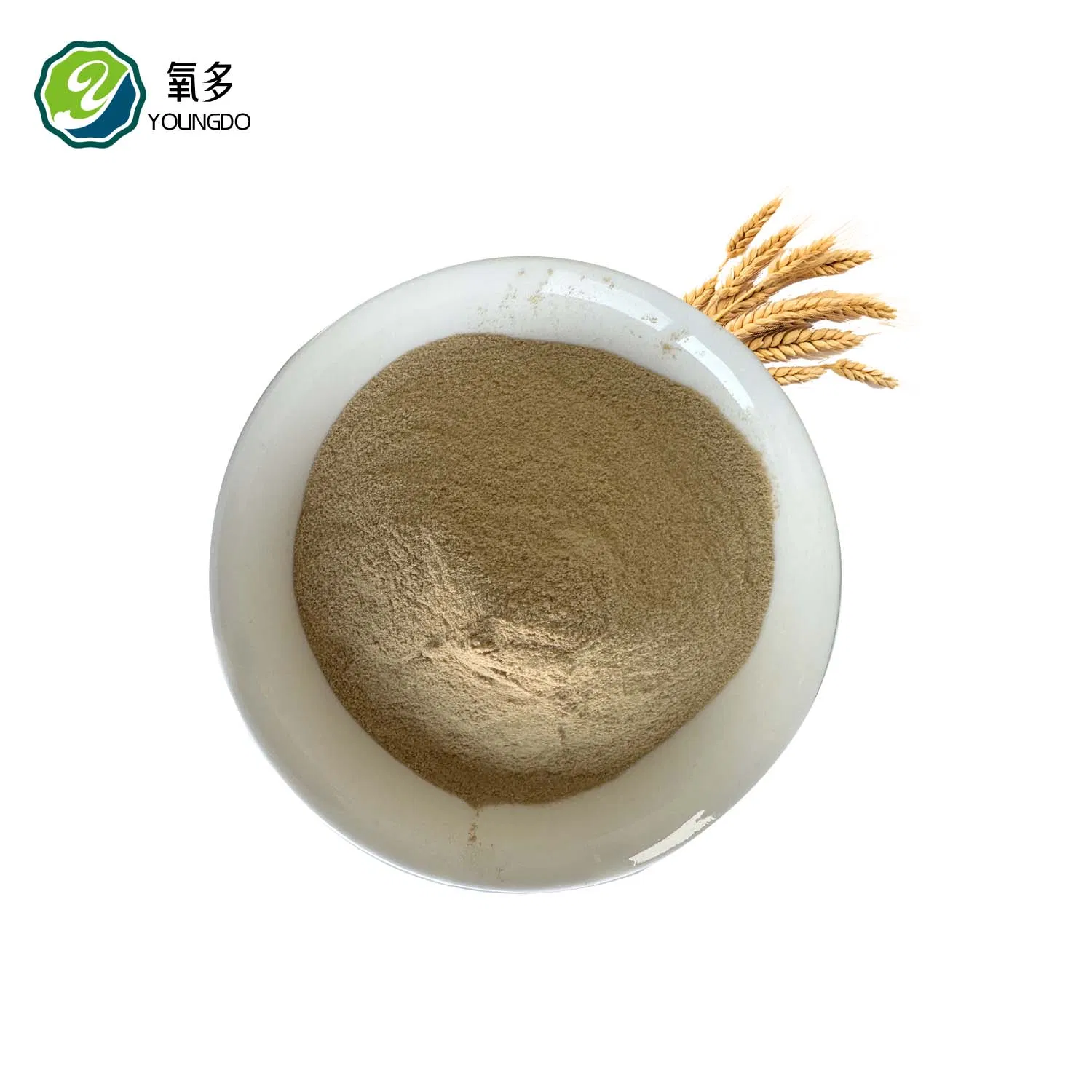 Yeast-Based Protein Supplement for Cattle &amp; Swine Feed