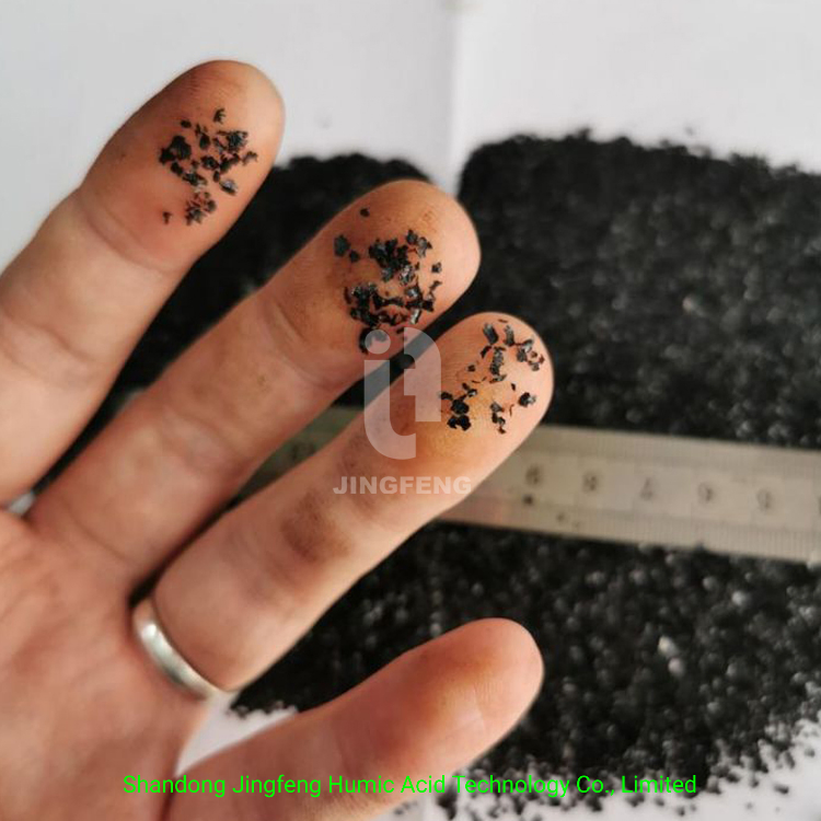 Leonardite Humic Acid Sodium Humate Animal Feed Sodium Fulvate Flake