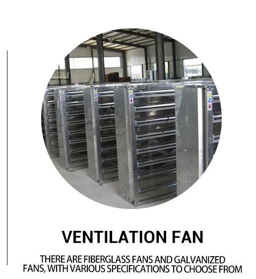 Feed Transport Detail 3