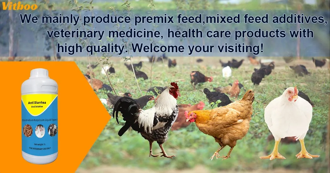 Anti Diarrhea Oral Solution Banner