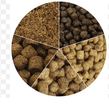 Tilapia Fingerling Grower Complete Feed Promotes Rapid Growth