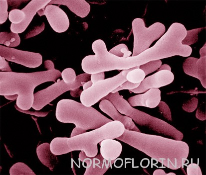 Bespoke Gut Health Solutions by Flora-Focus