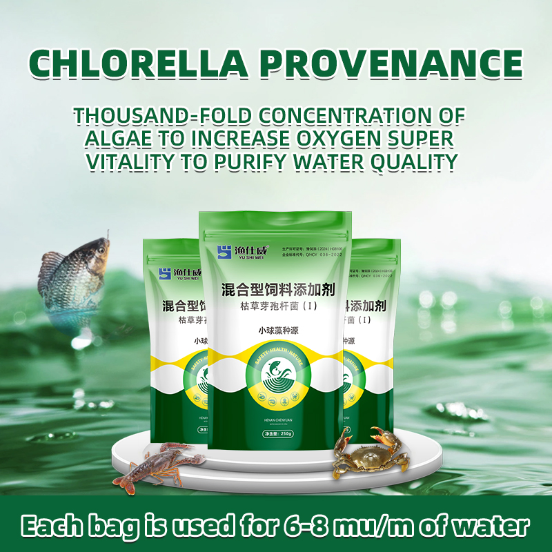 Advanced Aquaculture Enhancers Probiotic Solutions Aquatic Feed Additives