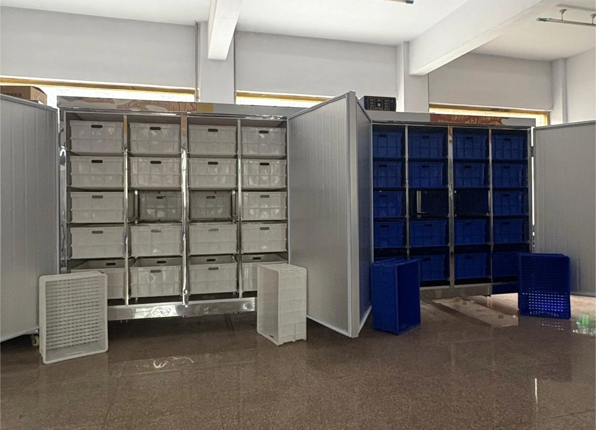 Fully Automatic Bean Sprout Grower for Fast and Healthy Growth