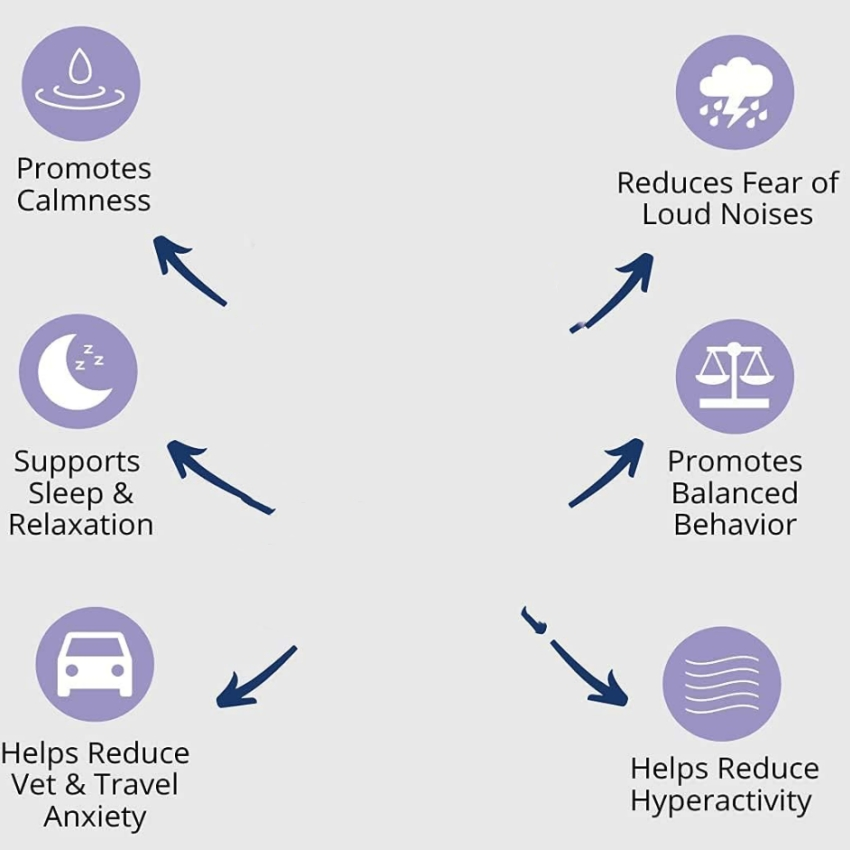 Customized Chewable Treats for Pet Relaxation and Comfort