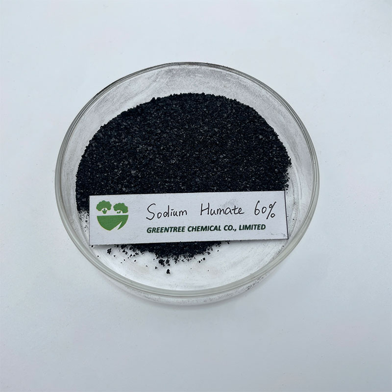 Agriculture Fertilizer Factory High Soluble Feed Additive Humic Acid 60% Sodium Humate China Manufacturers