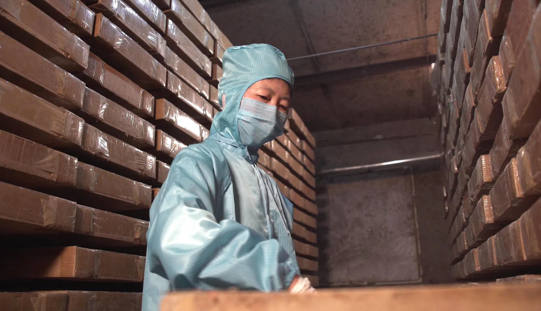 Dried Bread Black Soldier Fly Larvae Bird Feed