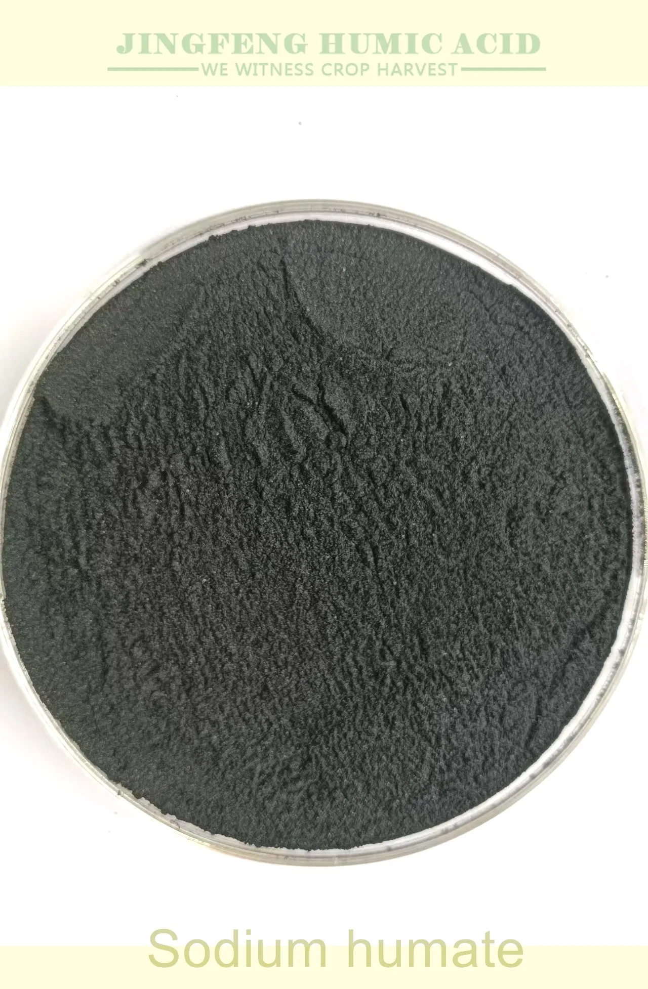 Sodium Humate in Aquaculture Briquette Coal Binder and Feed Additive