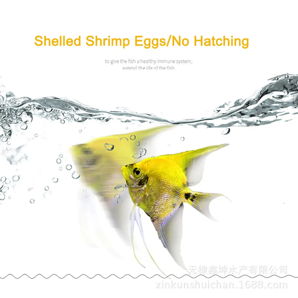 Feed for Shrimp Eggs, Red Eggs, and Fish Fry During Harvest