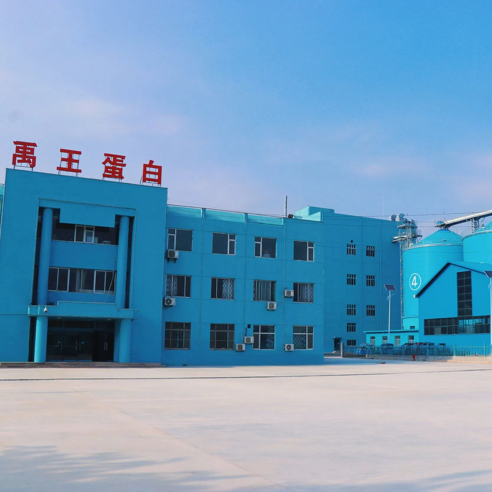 High-Protein Soy Protein Concentrate for Poultry, Livestock, and Aquaculture Nutrition - Affordable Feed Supplement Animal Nutrition Feed Additive