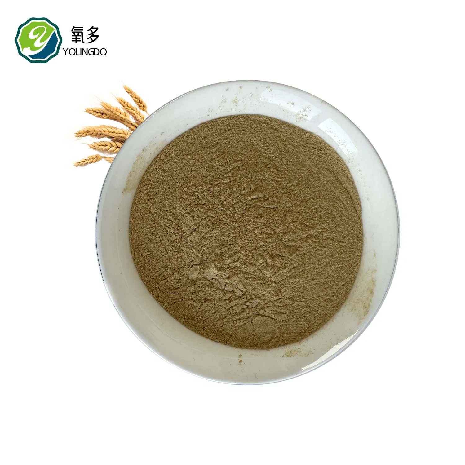 Sustainable Yeast Protein for Livestock &amp; Aquaculture Feed