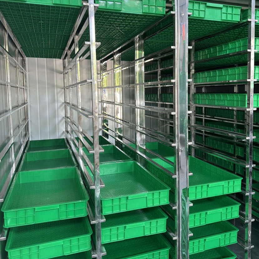 Premium Organic Sprout Growers for Fresh Microgreens Cultivation High Yield of Various Sprouts Growers