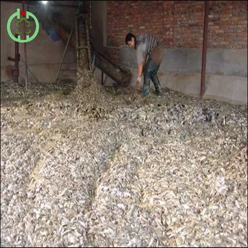 Fish Meal Production 2