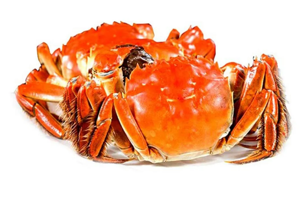 China Cooked Mitten Crab, IQF