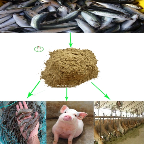 Protein Powder Fish Meal Animal Feed (65% 72%)