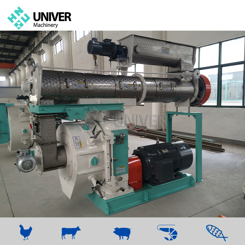 Advanced Aquaculture Success Sinking Fish Feed Pellet Mill Production Line