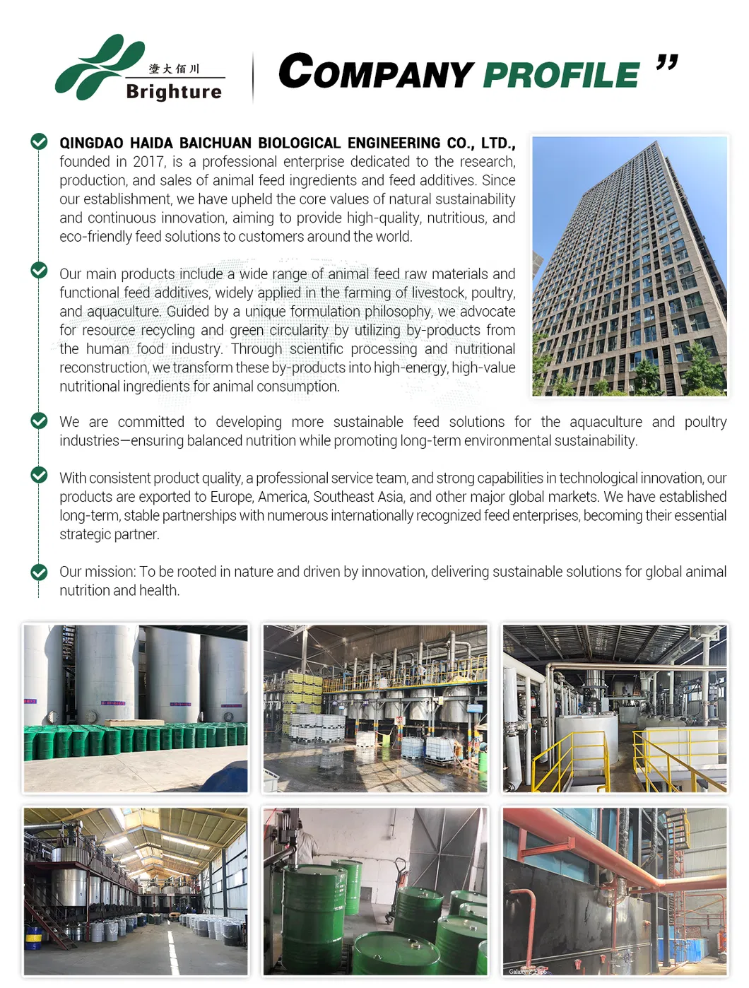 Shrimp Paste Processing