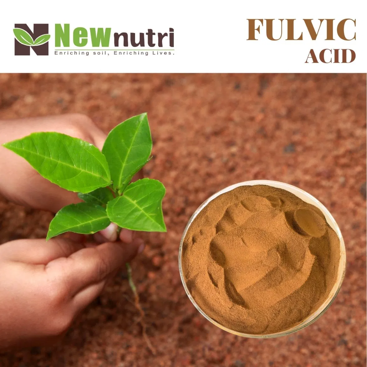 Natural Fulvic Acid for Better Feed Efficiency Feed-Grade Animal Nutrition
