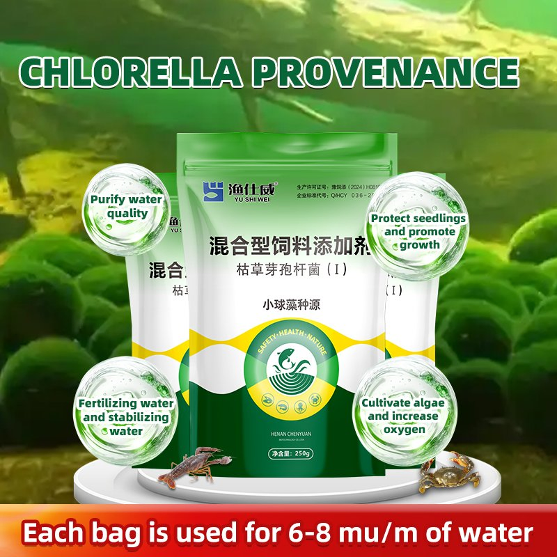 Advanced Aquaculture Enhancers Probiotic Solutions Aquatic Feed Additives