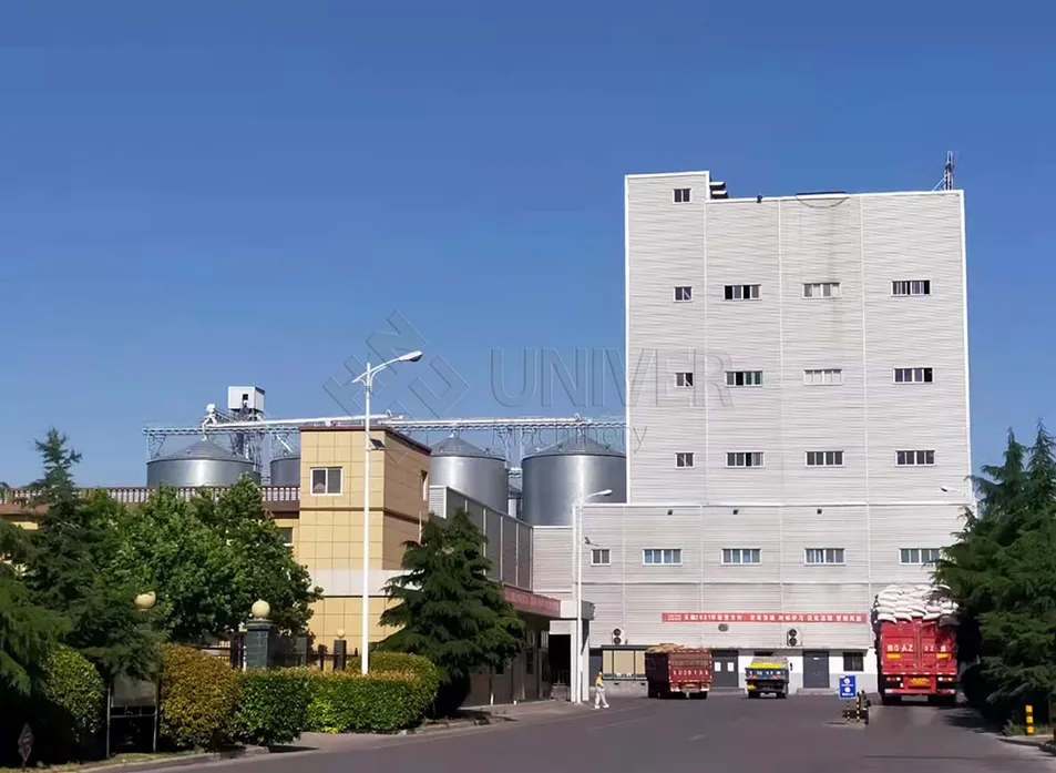 Aquatic Feed Production Line