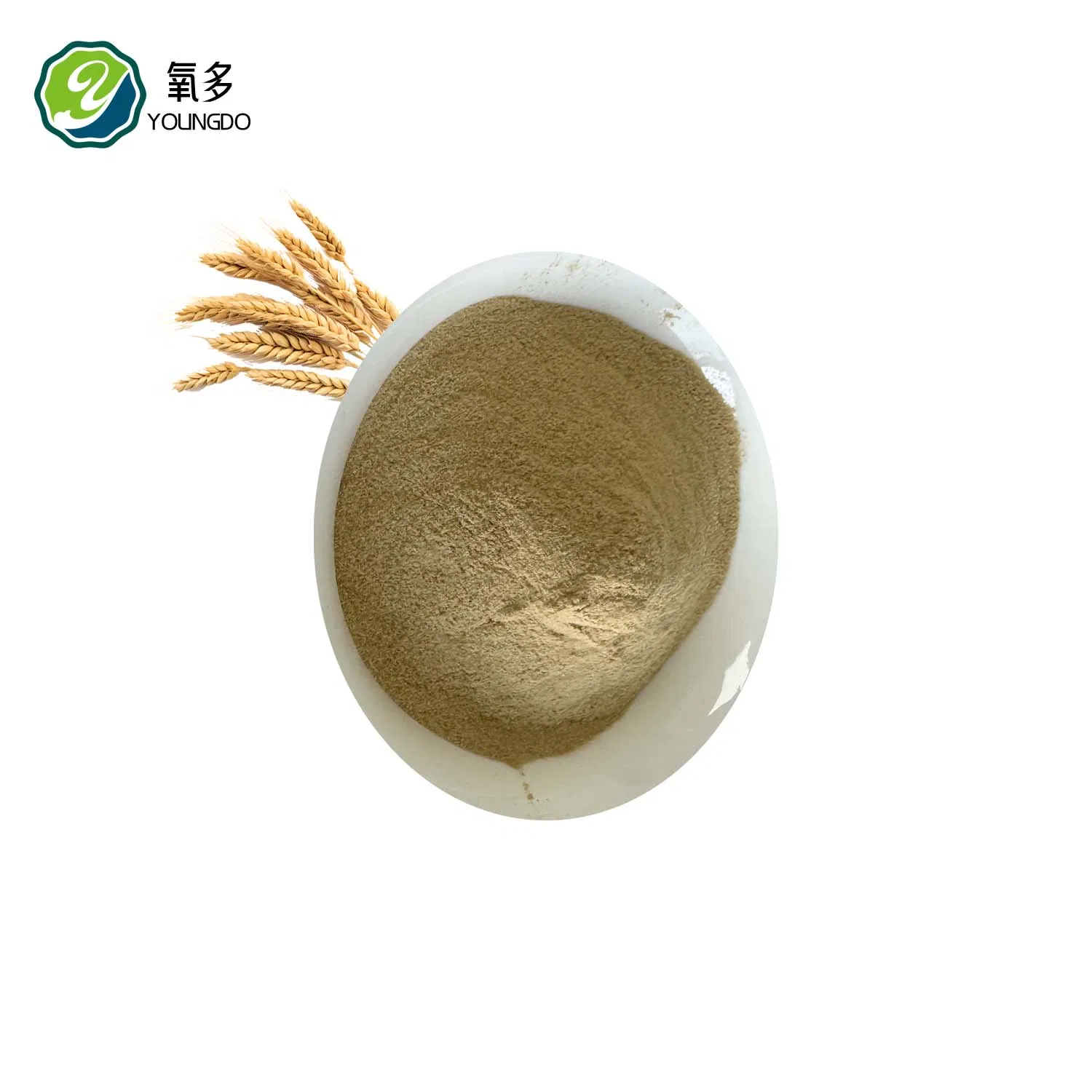 Sustainable Yeast Protein for Livestock &amp; Aquaculture Feed