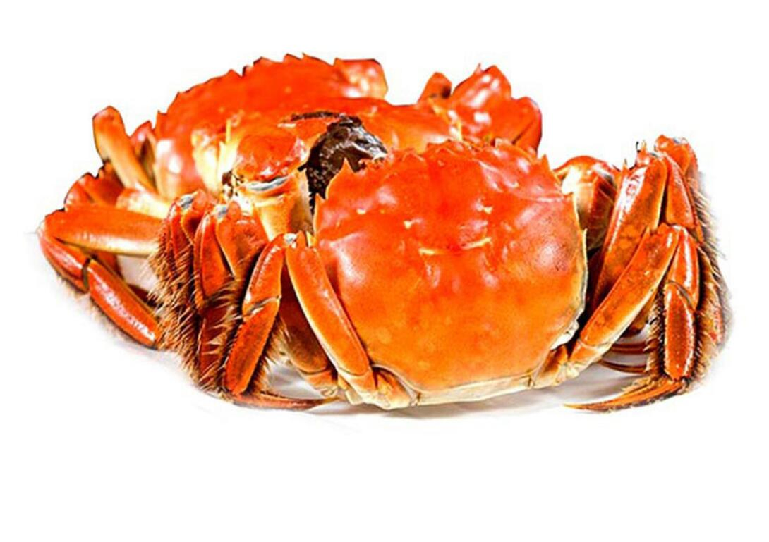 China Cooked Mitten Crab, IQF