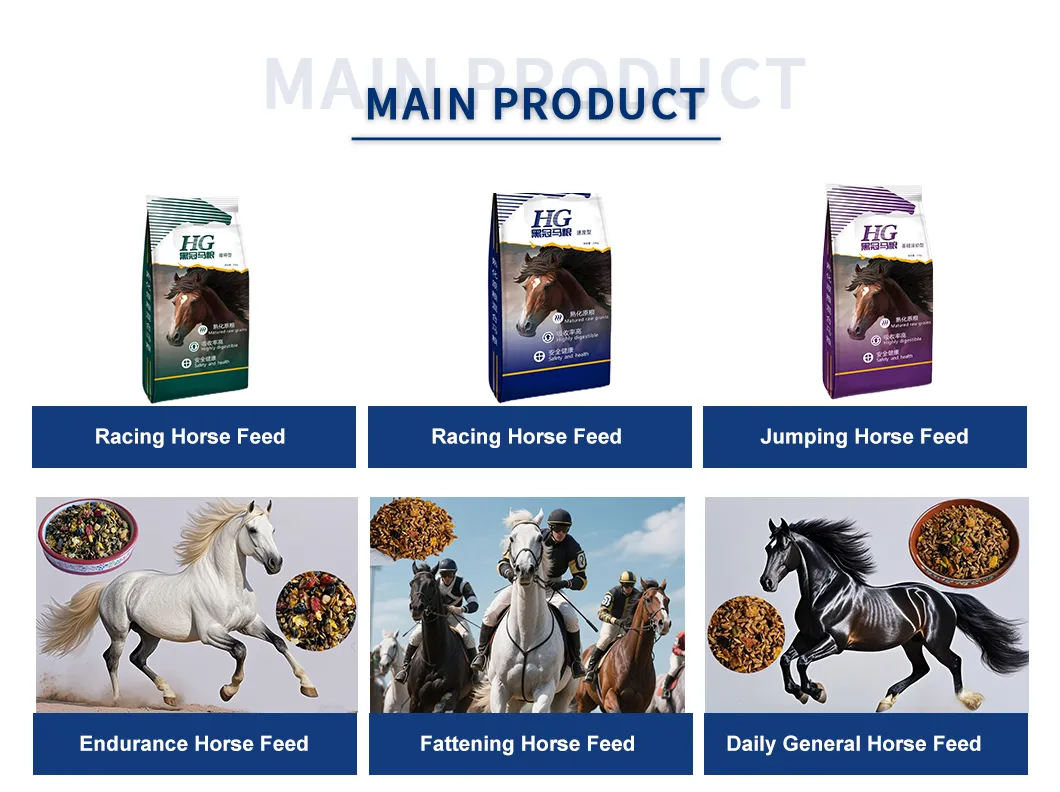 Horse Nutrition Display