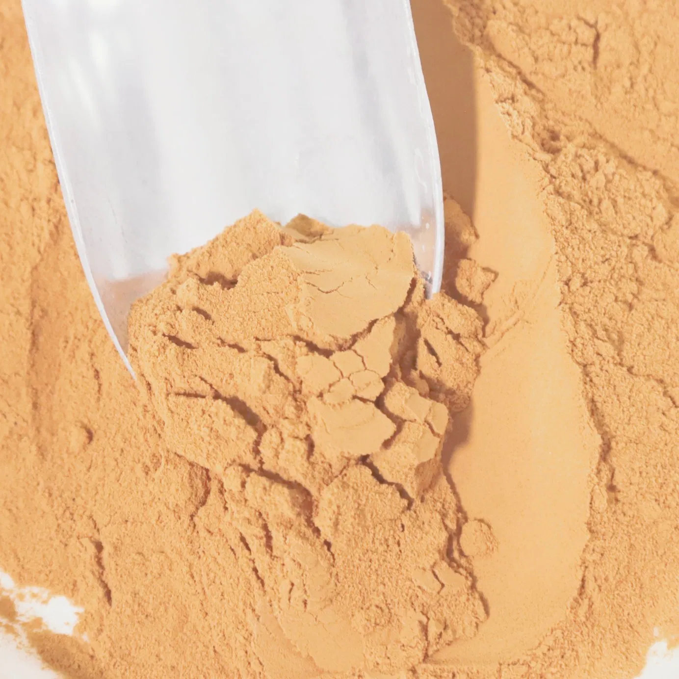 High-Purity Eucommia Ulmoides with 50% Chlorogenic Acid - Natural Immune Booster for Aquaculture Factory Direct Supply