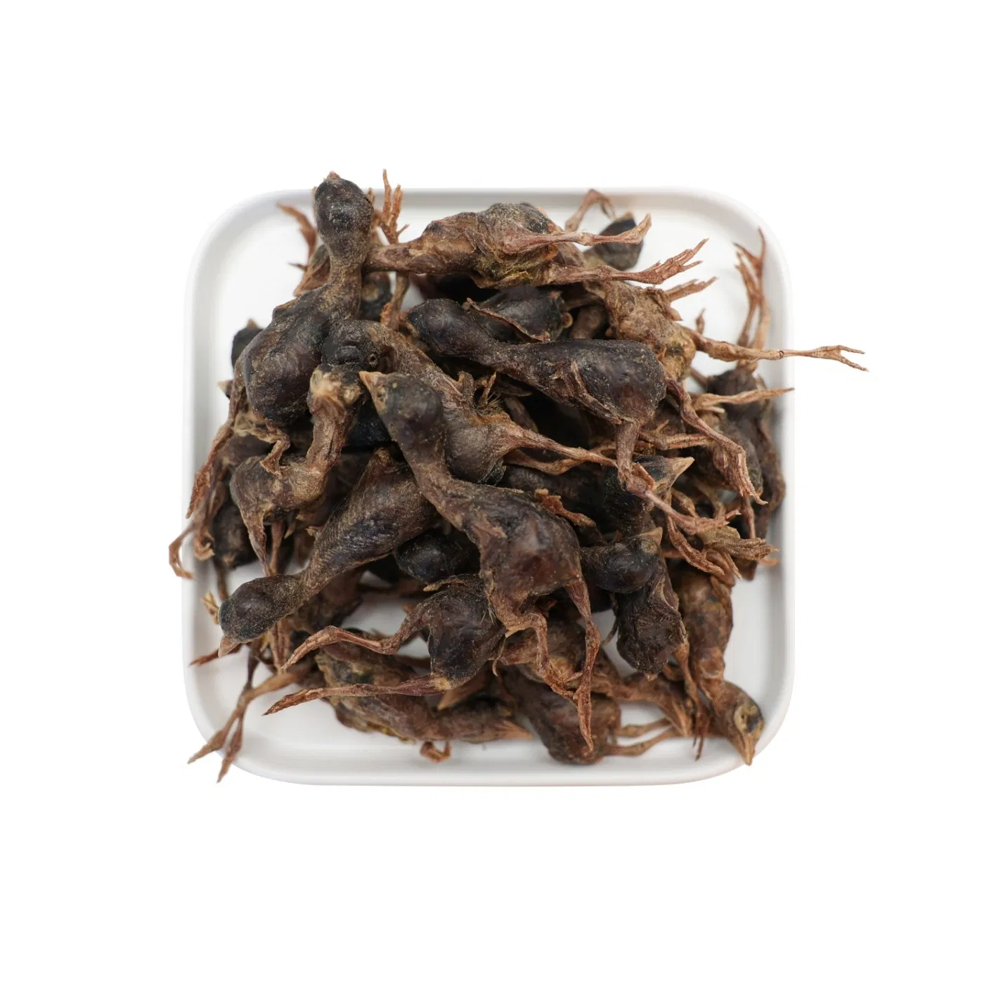 Wholesale Dog Food Dried Meal Worms Treats for Pet