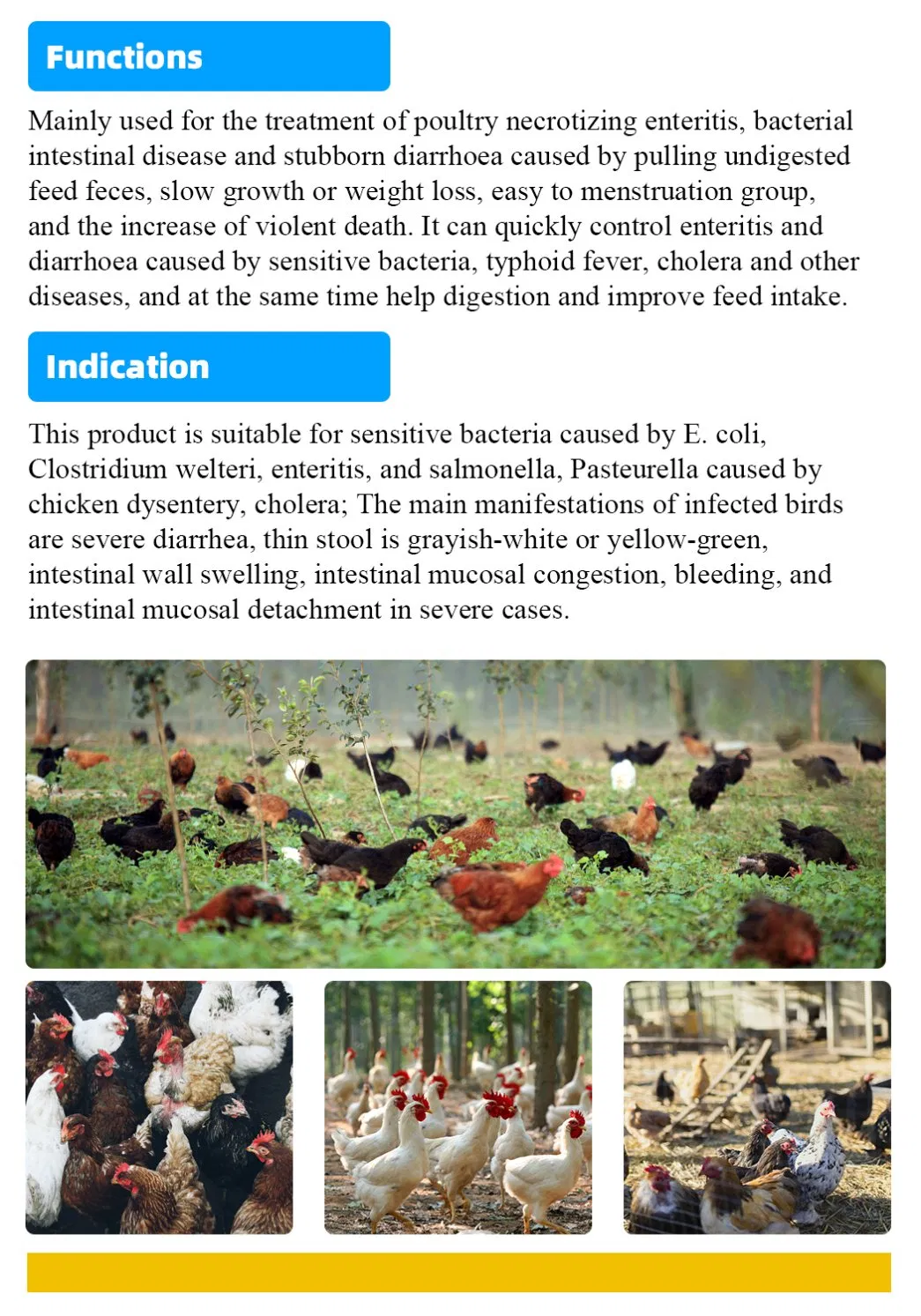 Poultry Intestinal Treat Anti Diarrhea Oral Solution, Probiotics Liquid for Animal Digestion