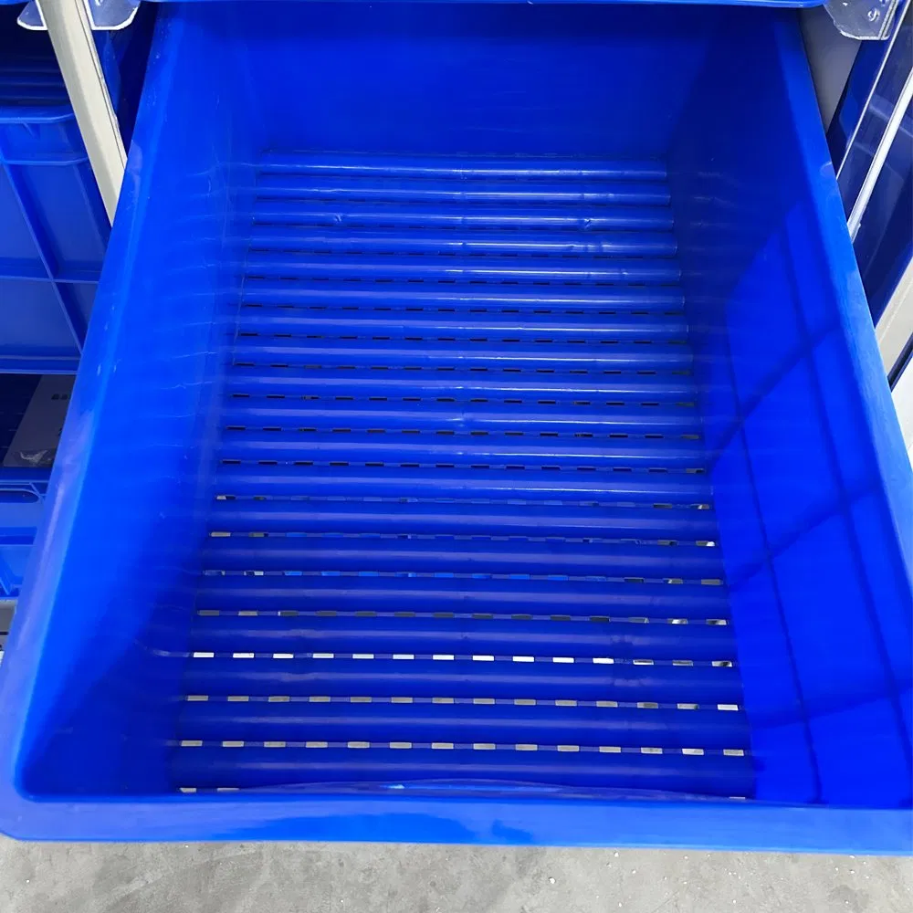 Versatile Bean Sprout Grower for Fresh and Nutritious Sprouts