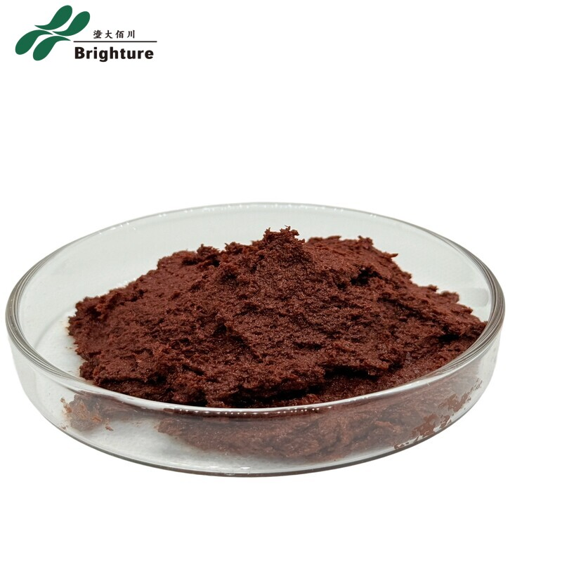 Premium Feed-Grade Shrimp Paste for Enhanced Aquaculture Flavor