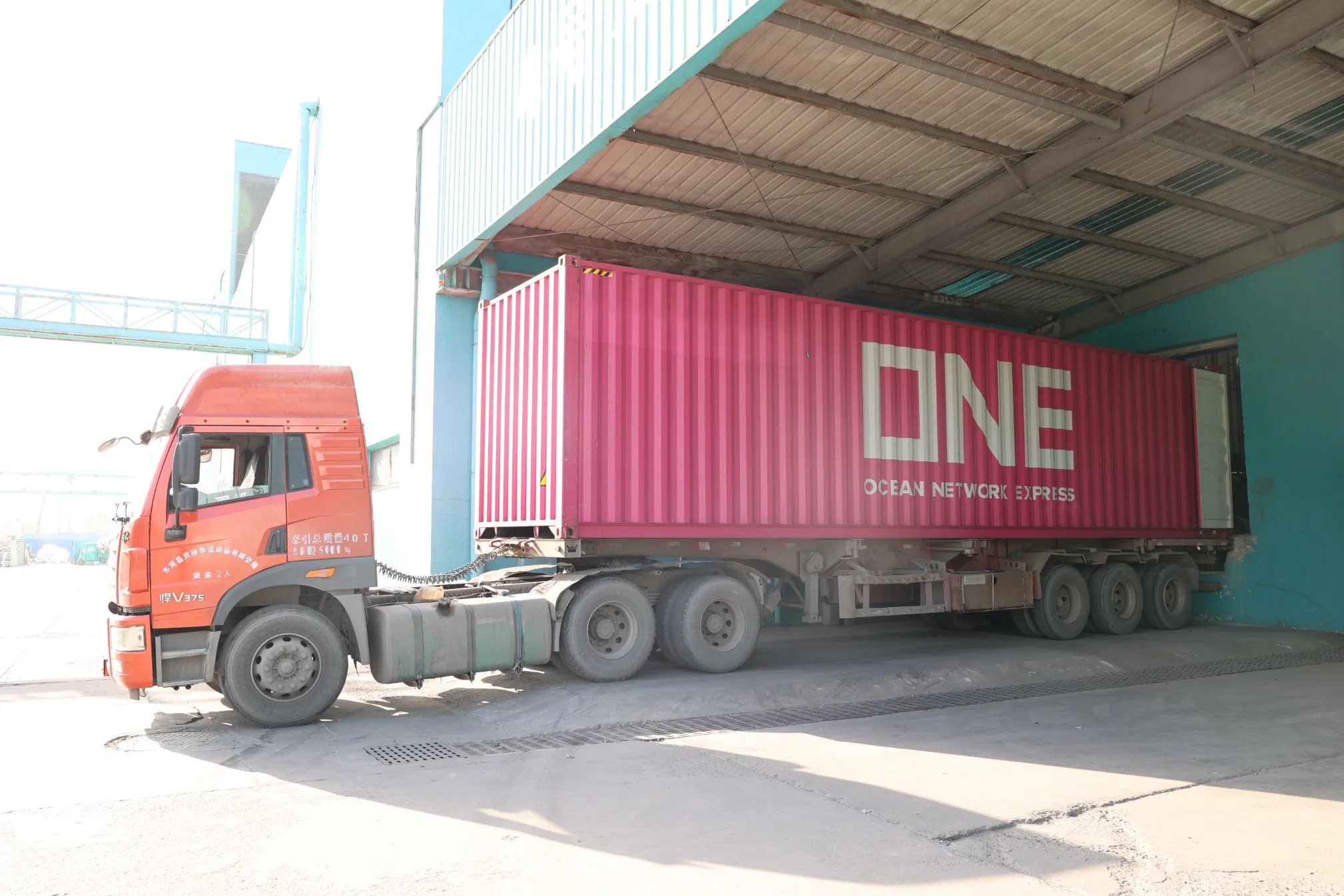 Animal Feed High Protein Additive - Soy Enzymatic Hydrolysate for Piglet, Aquaculture &amp; Poultry - Enhances Growth Performance &amp; Gut Health