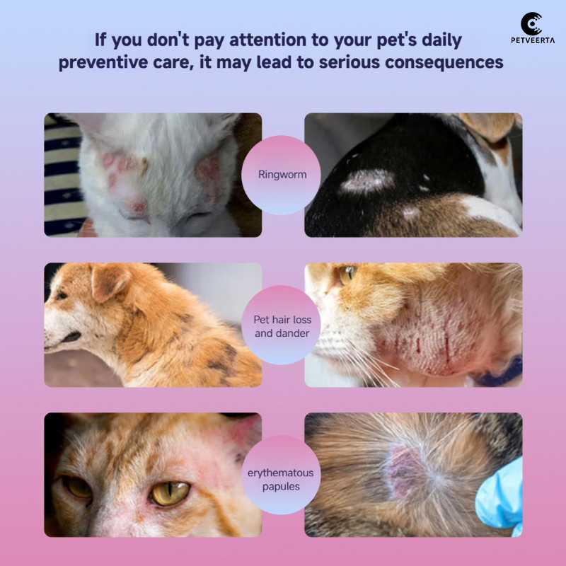 Calming Pet Skin Mist for Skin Soothing Treatment